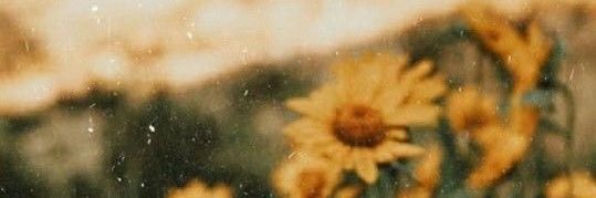 Your Average Fan 🪩🦶 banner