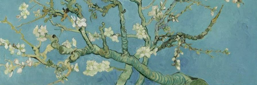 almond_bert's profile banner image
