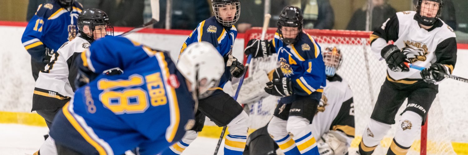 DF Barnes Arena banner