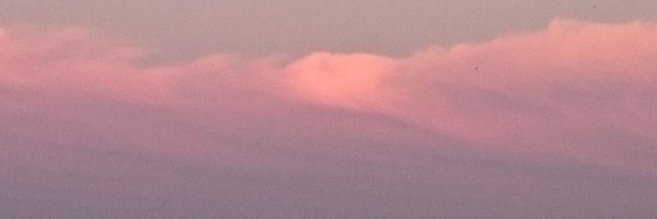 kimimomo Profile Banner