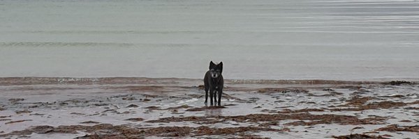 PhiloSaurus101 Profile Banner