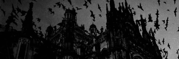 † banner
