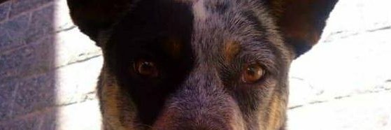 _matheusdini's profile banner image