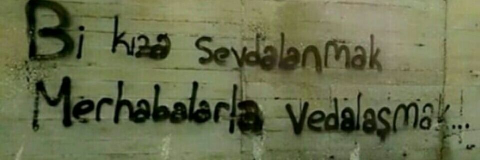 vicdaniret31's profile banner image