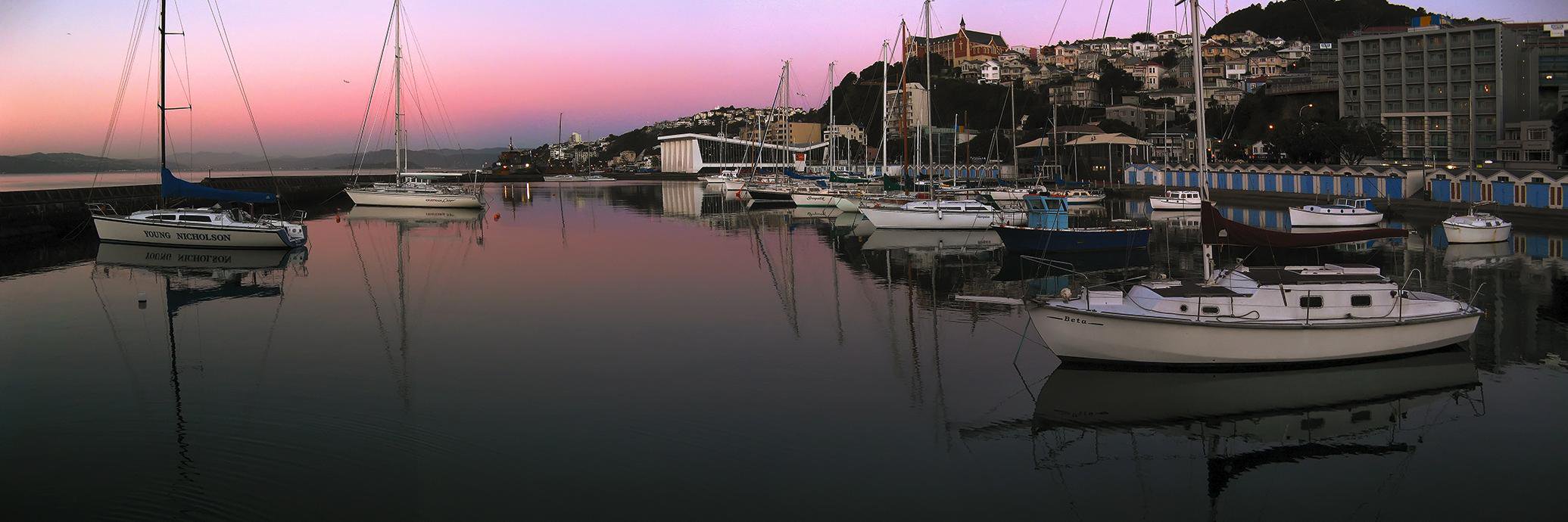 Peter Kurdulija 🦝 banner