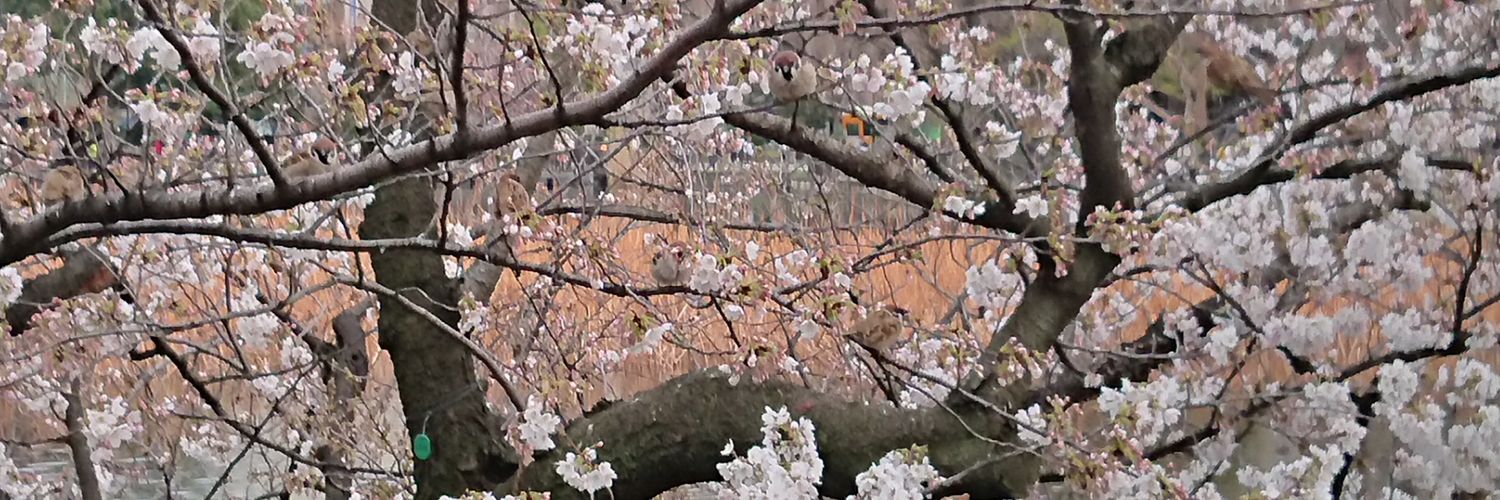 hyorolong's profile banner image