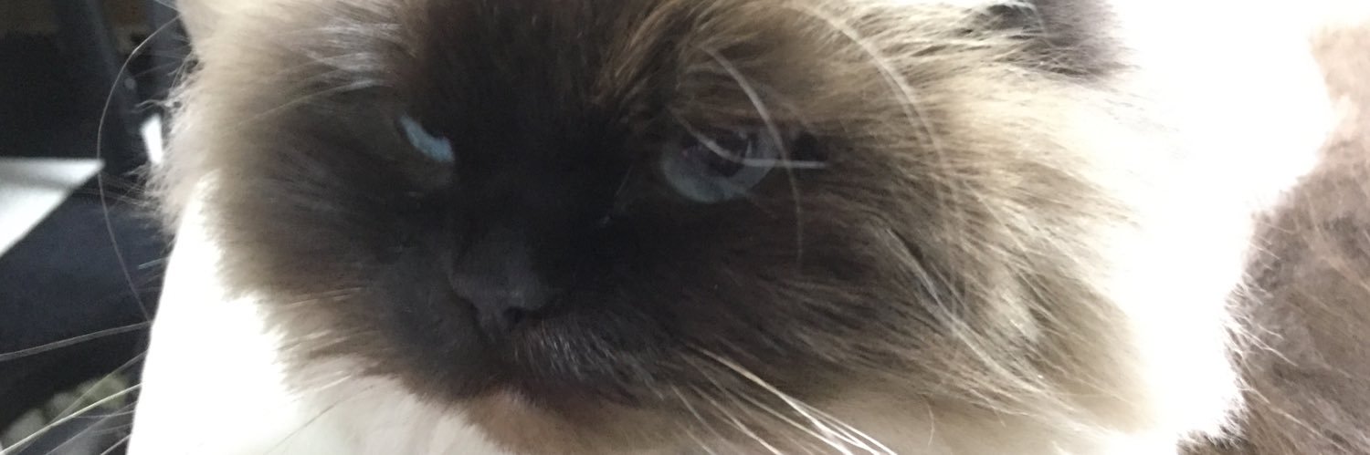 Tokyo_Tom_'s profile banner image