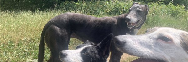 richymills Profile Banner