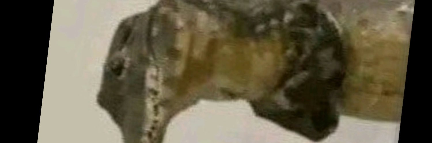 OG Chudai banner