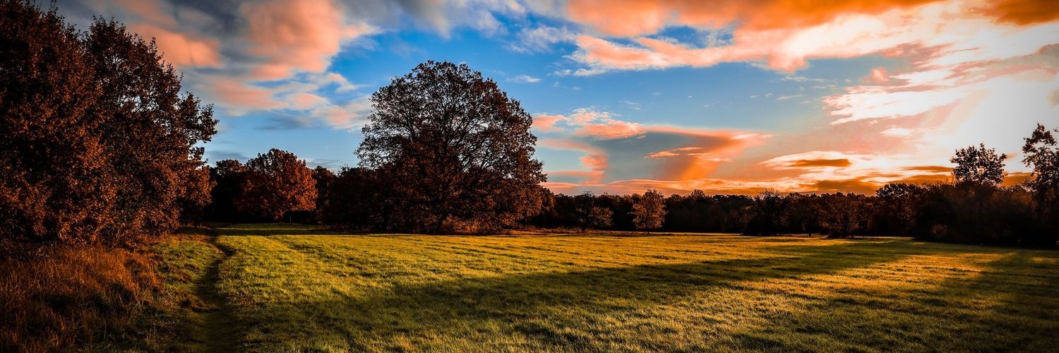 Đuro Baglić banner