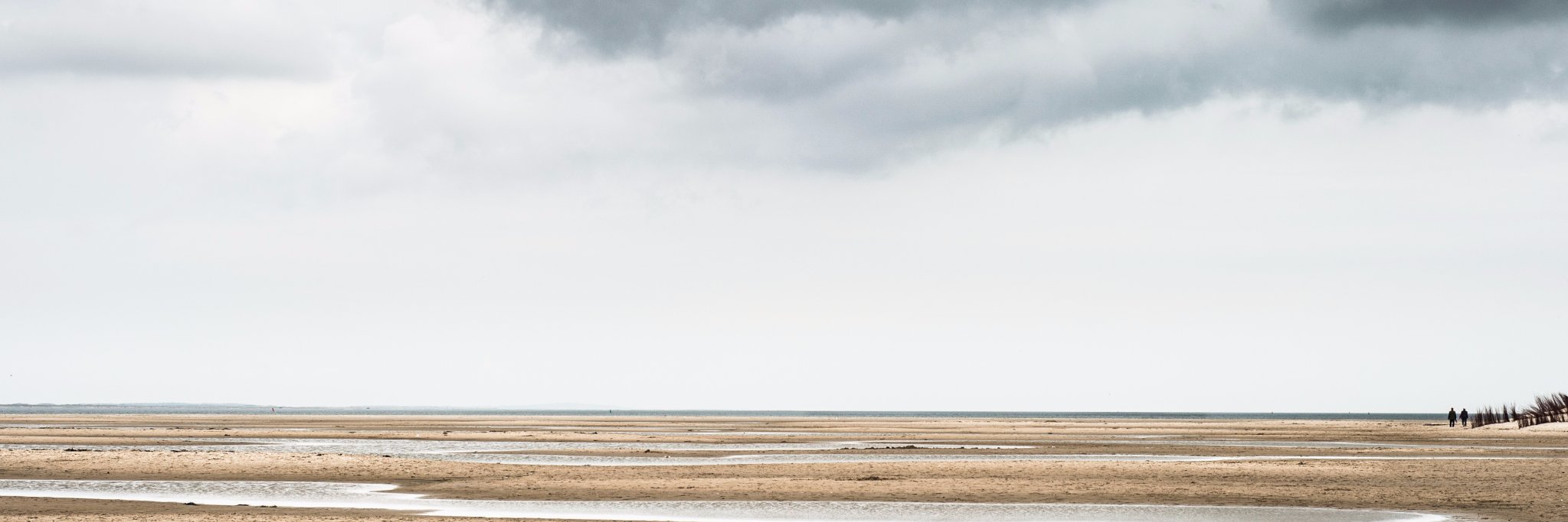 Ronald S. Scherpenisse banner