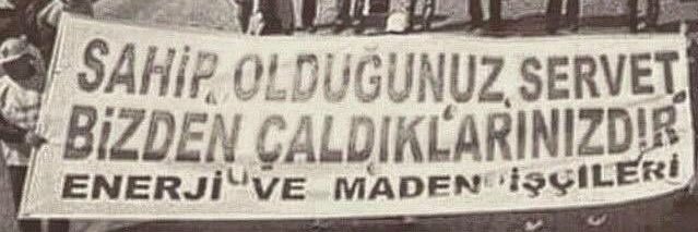 Şule Tmz banner