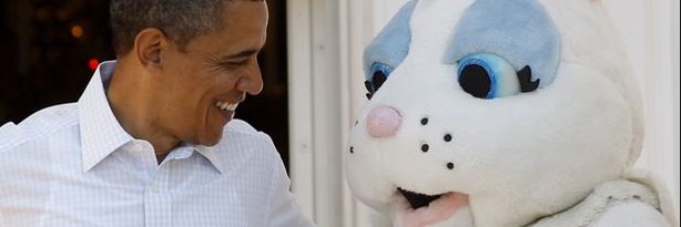 CDustbunnies's profile banner image