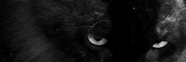 mawhateu Profile Banner