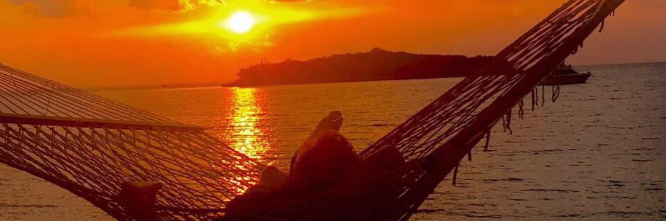 Morten Dencker banner