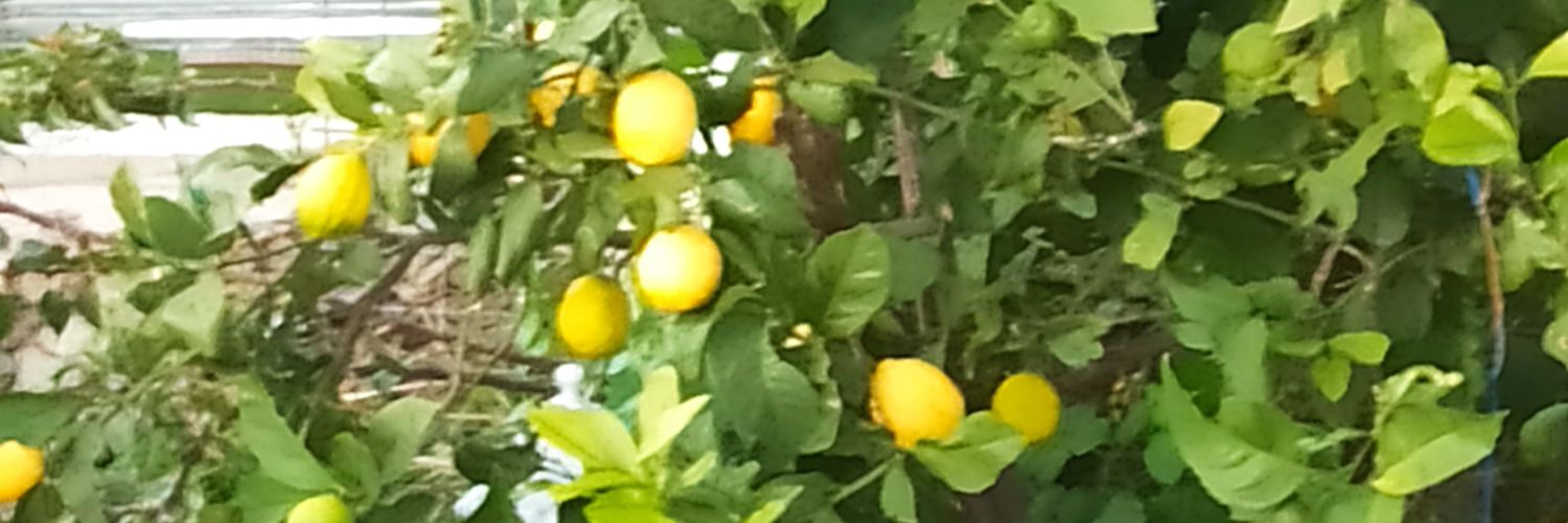 belgin407's profile banner image