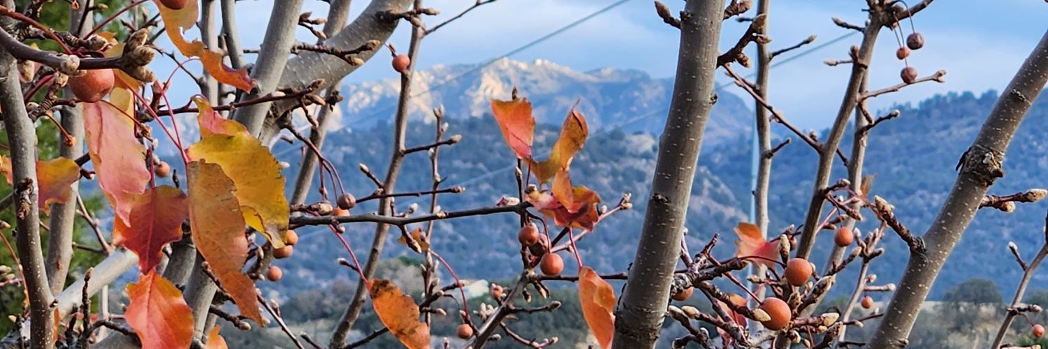 Tyler Roberts banner