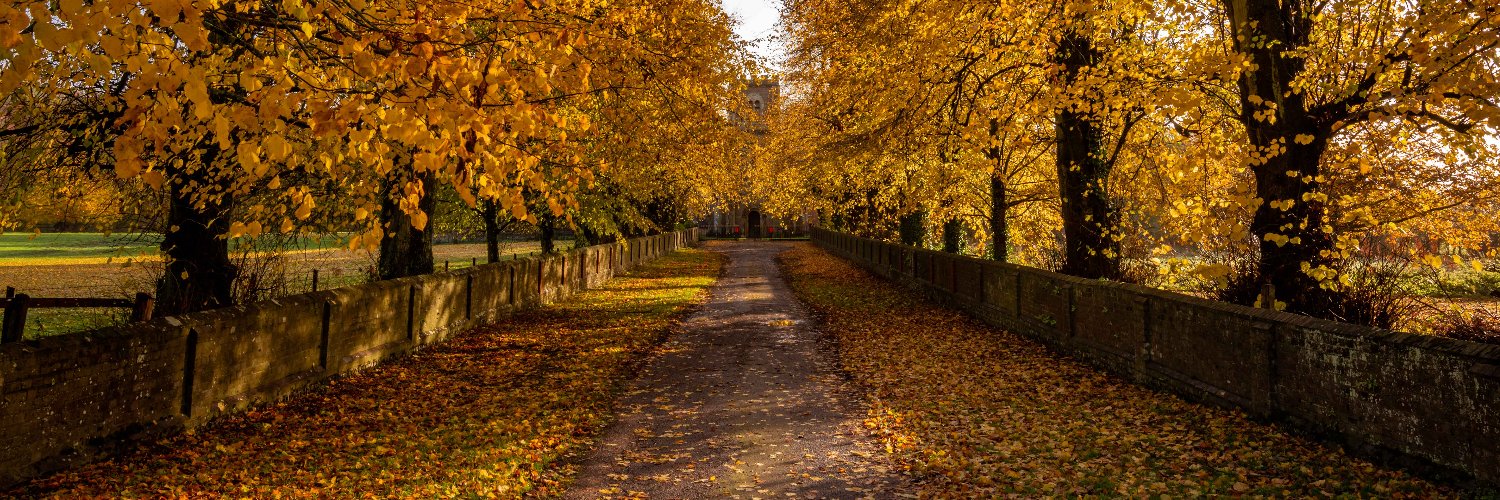 Test Valley BC banner