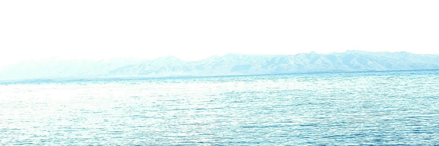 Irish Mae V. banner