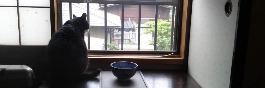 poisonkuma's profile banner image