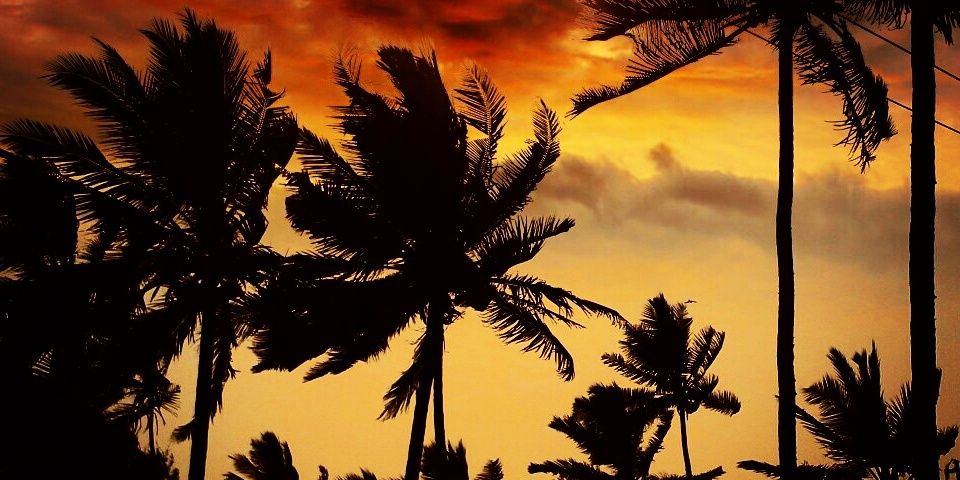 Yashfadh's profile banner image
