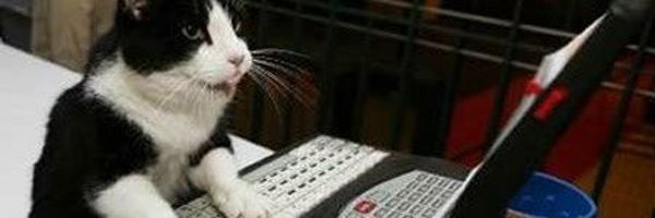 programemes Profile Banner