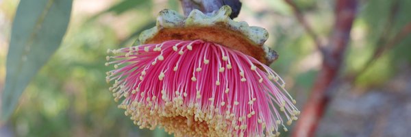 davidvl Profile Banner