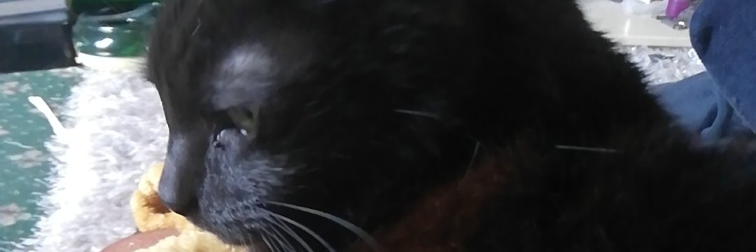 No No No No No you're done banner