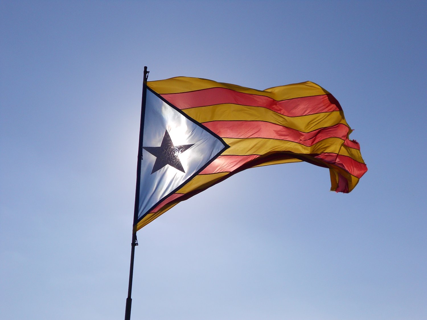CarmePeratilla's profile banner image