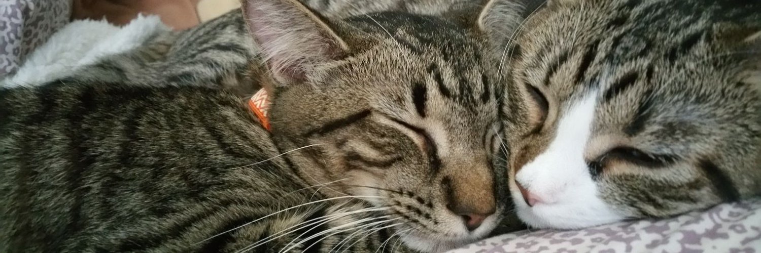 AMDPharmGirl's profile banner image