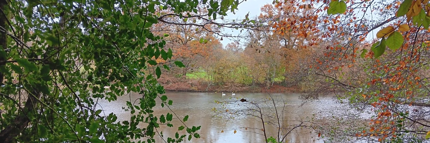 Linda O'Sullivan banner