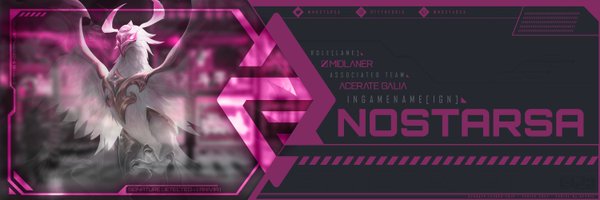 nostarsa Profile Banner