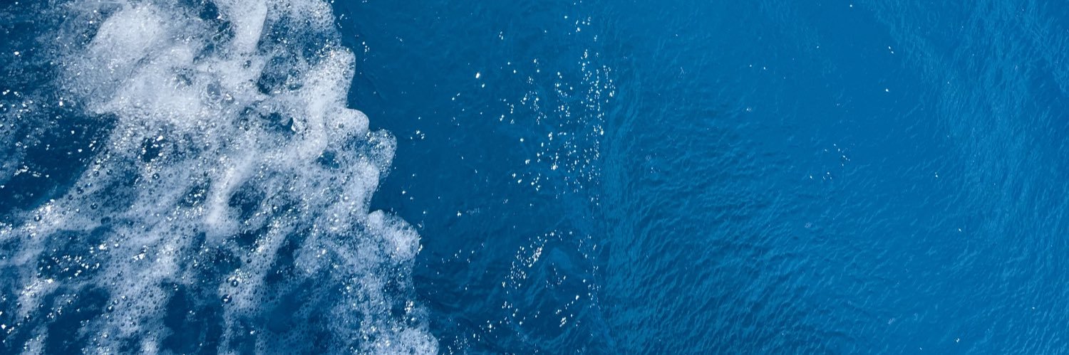 Hussain Firushan #FreePalestine 🇵🇸🇲🇻 banner