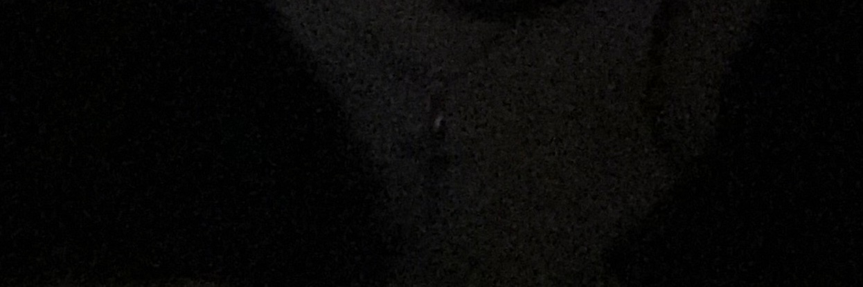leprechaumn's profile banner image
