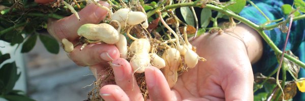 AlineCamargo_Ag Profile Banner