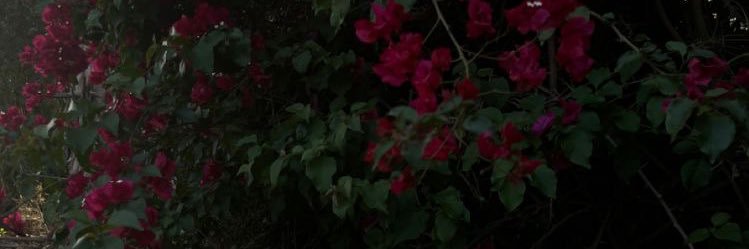 i ♥️ lee dohyun banner