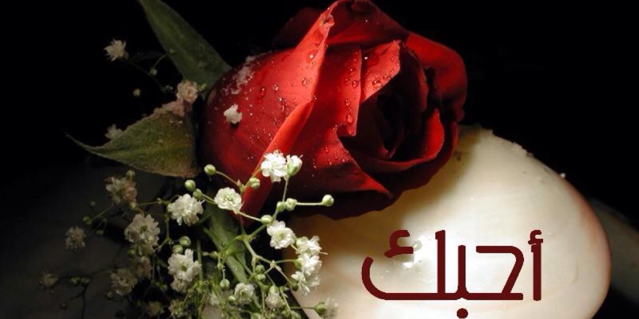 AliMoh991's profile banner image