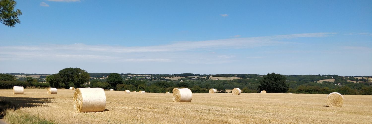 HeadbumpPete's profile banner image