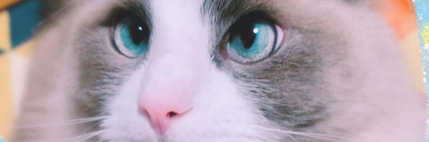 kou_ys's profile banner image