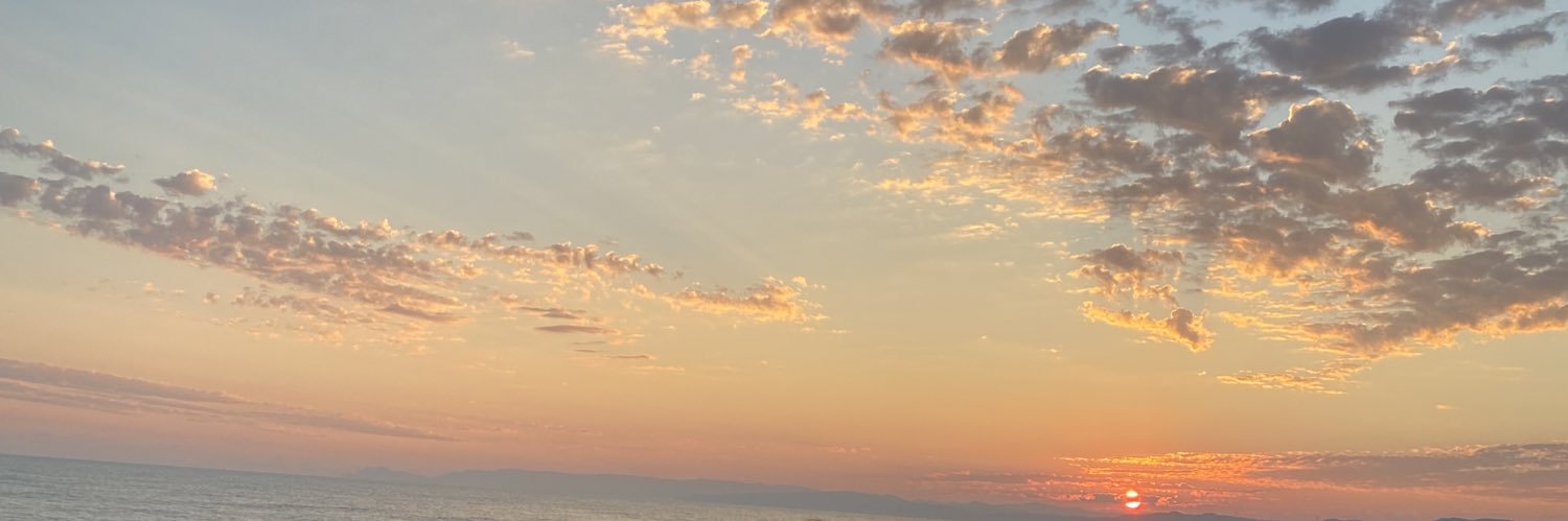 zeynepsbaglan's profile banner image