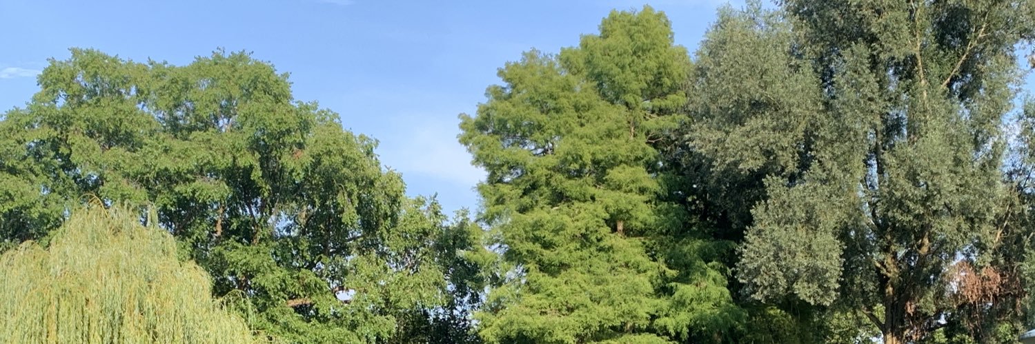 EwoutvanDijck's profile banner image