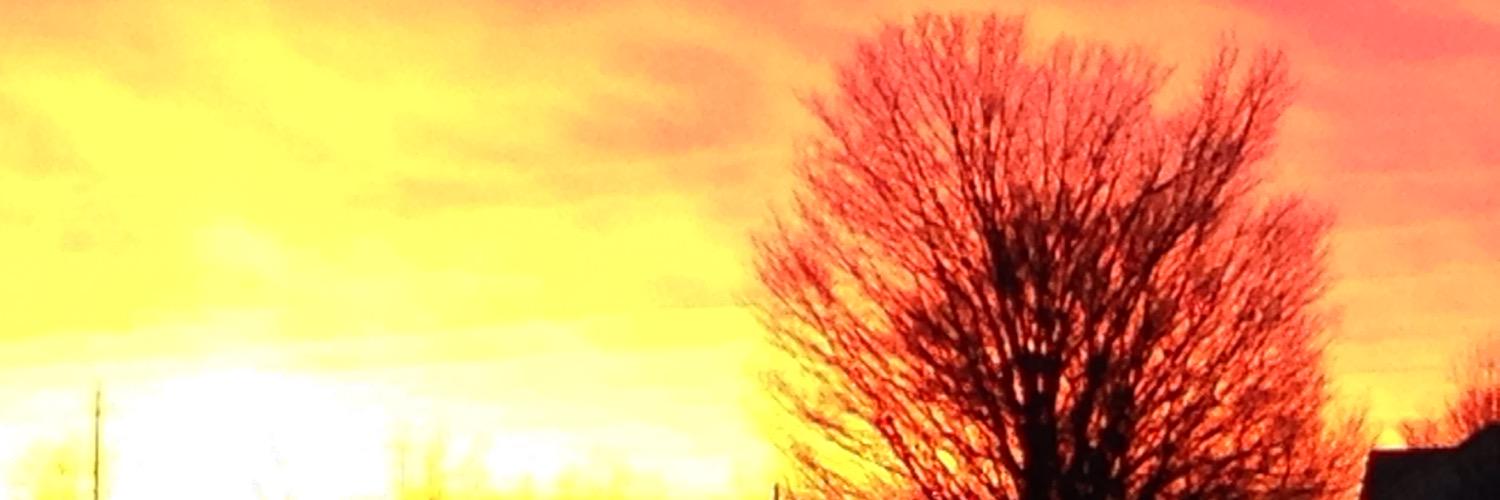 MichelleL481's profile banner image