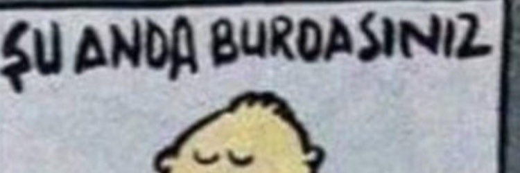 elfikir's profile banner image