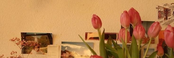 𝒎𝒊𝒎𝒐.✦ banner