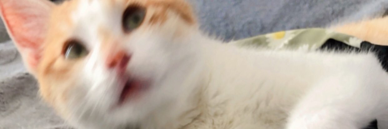 aleynaakisa's profile banner image