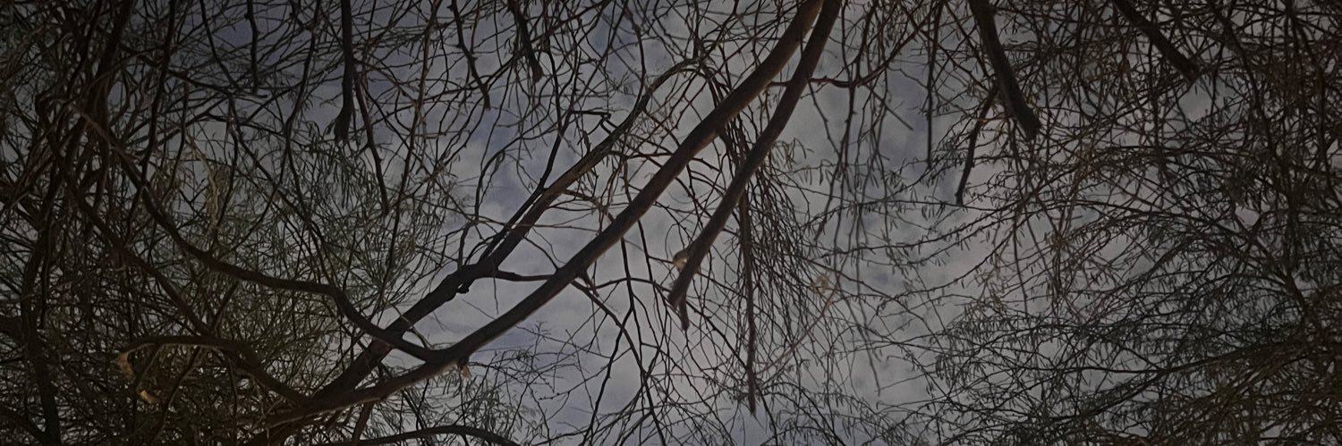 D banner