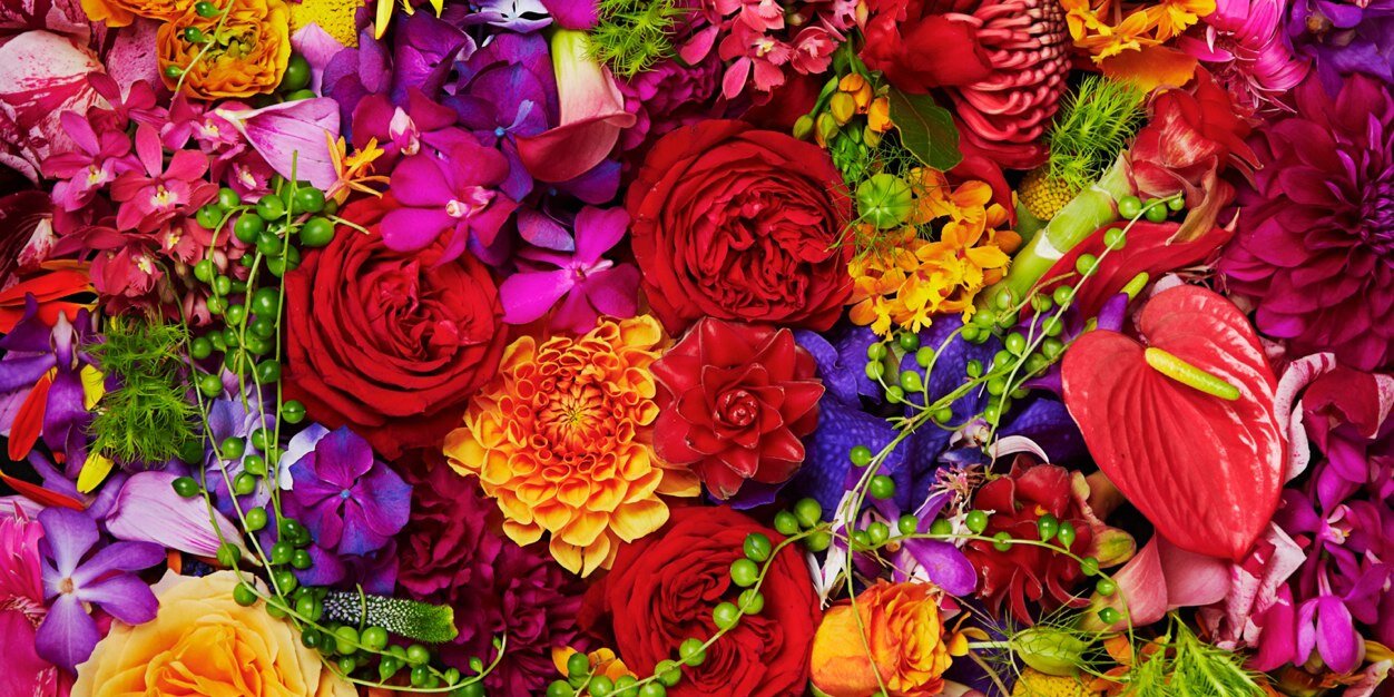 bionicplants's profile banner image