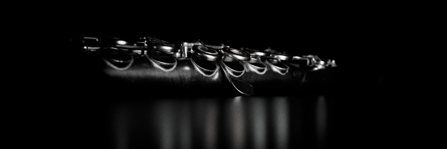 phasmidd's banner