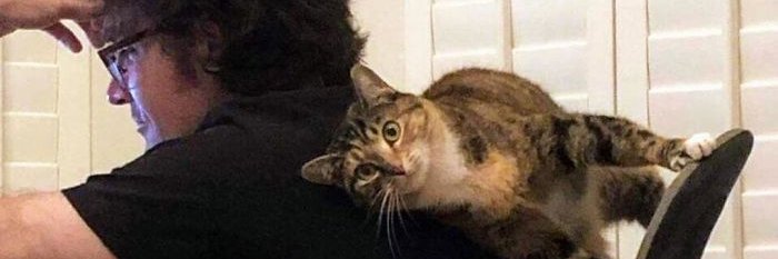 MouseBlack2's profile banner image