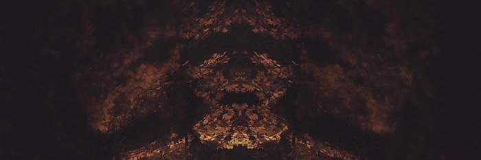 SharkeyLight's profile banner image